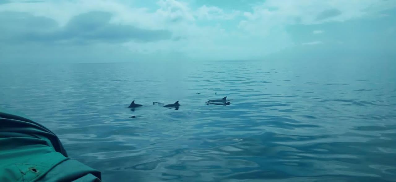 Апартаменты Wasini Raha Snorkeling And Diving Экстерьер фото